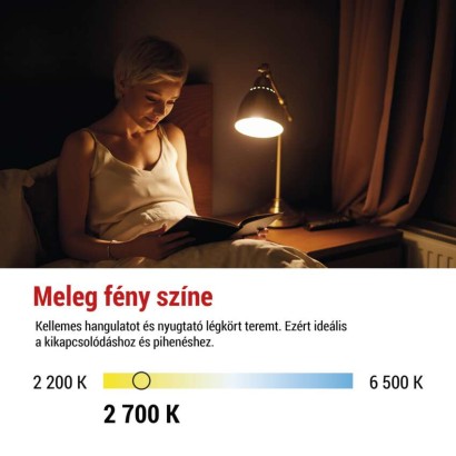 2733653.JPG