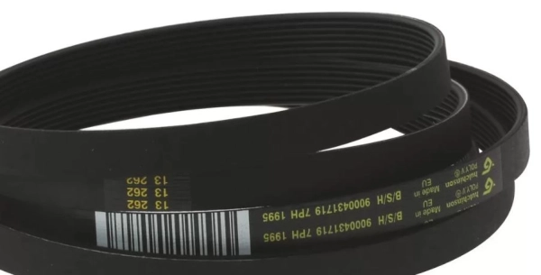 650499.jpg