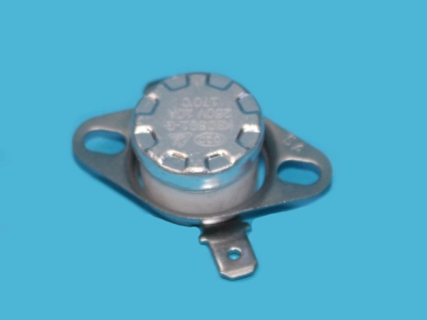 903040.jpg