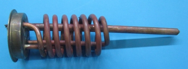293203.jpg