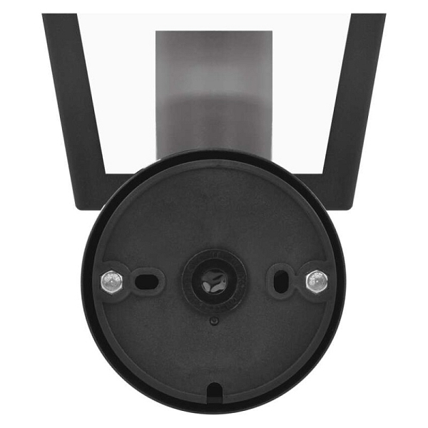 2919291.JPG
