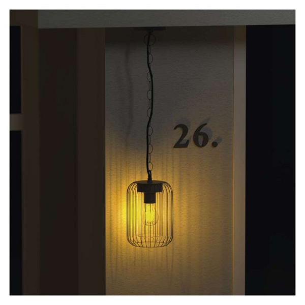 2972023.JPG