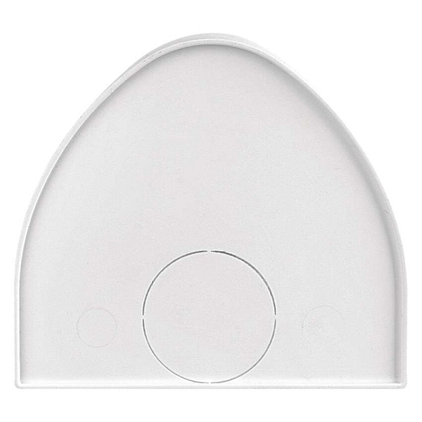 3112176.JPG