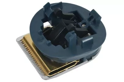 SS-1810001311.jpg