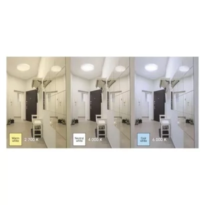 63176.JPG