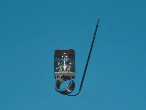 829025.jpg