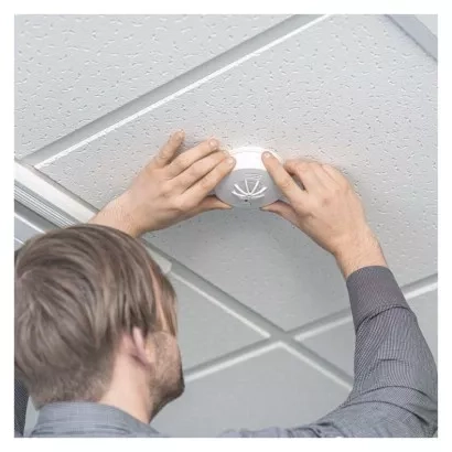 2333946.JPG