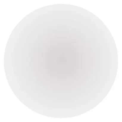 2382653.JPG