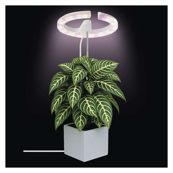 EMOS LED GROW pěstební lampa 8 W, časovač, stmívatelná, bílá